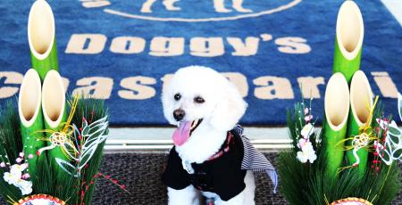 【茨城県：Doggy’s Coast Oarai】愛犬と過ごす贅沢な