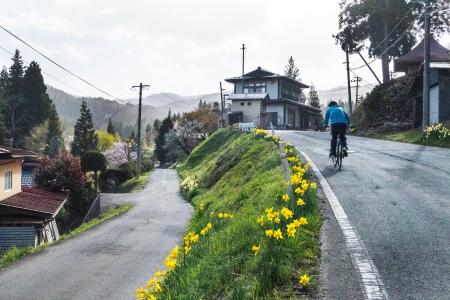 アイデムフォトギャラリー［シリウス］山本やす子 写