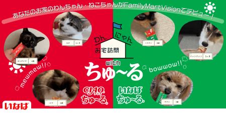 いなばペットフードと人気番組「わんにゃんお宅訪問」