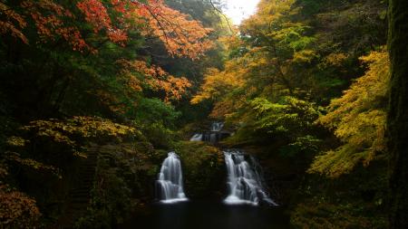 三重・赤目四十八滝で紅葉が見頃へ!夜は「三重赤目  三重・赤目四十八滝で紅葉が見頃へ!夜は「三重赤目