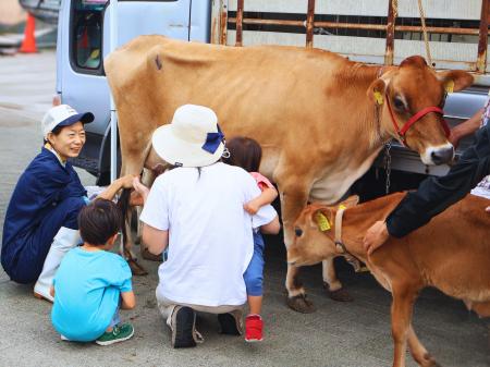 横須賀朝市に関口牧場の牛がやってくる！いちご よこ