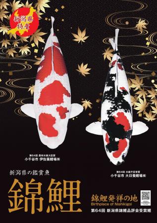 【新潟県小千谷市】農林水産祭参加第65回新潟県錦鯉品