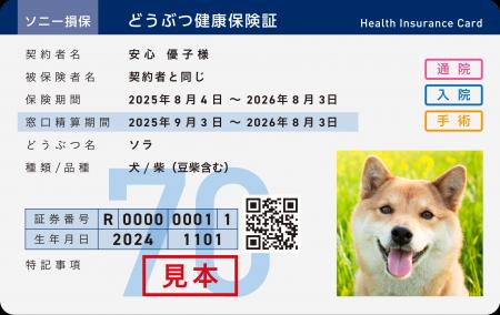アニコム損保とソニー損保が共同でペット保険の販売を