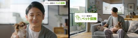 ソニー損保のペット保険の新CMに、玉木宏さんを起用