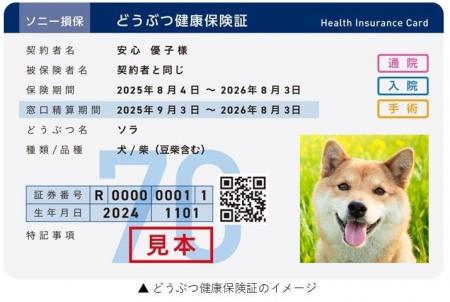 ソニー損保とアニコム損保が共同でペット保険の販売を