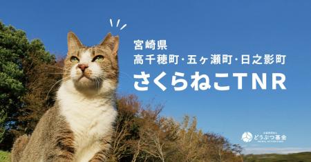 【取材のお願い】宮崎県山間部の猫を救うプロジェクト
