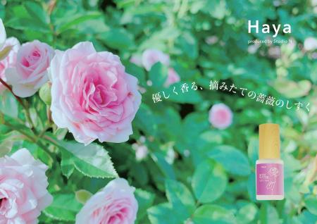 ナチュラルフレグランスをプロデュースするHayaが、地 ナチュラルフレグランスをプロデュースするHayaが、地