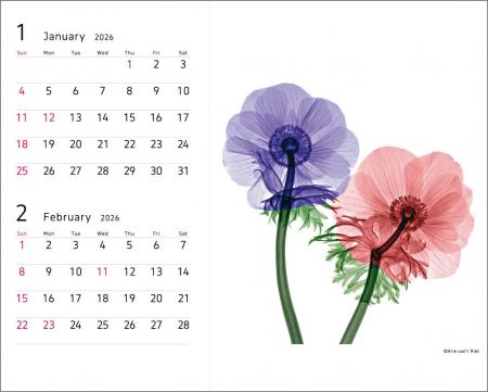 2026年版 パナソニック ホームズカレンダー（非売品）