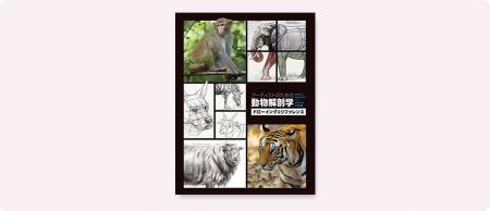 約50体の多様な動物を写真とイラストで網羅！動物を描