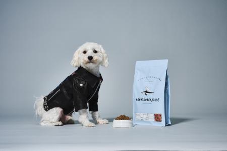 気仙沼の水産業をサスティナブル&スタイリッシュにア 気仙沼の水産業をサスティナブル&スタイリッシュにア