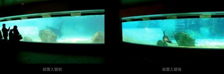 コーヒーの脱色からアシカプールの水質改善、除utf-8