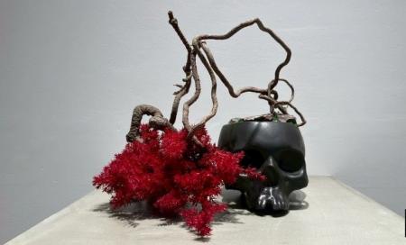 ホテル・旅館・高級飲食店の皆様へ。もう、植物の管理