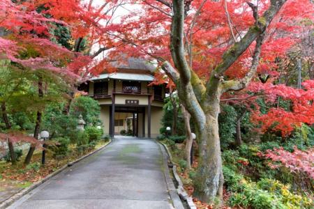 奈良富雄の料亭百楽荘で紅葉の庭園を特別公開「utf-8