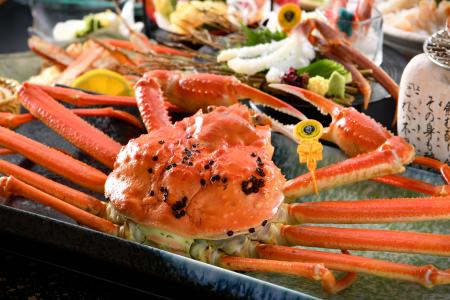 いよいよ越前がに漁が解禁！休暇村越前三国では、1日