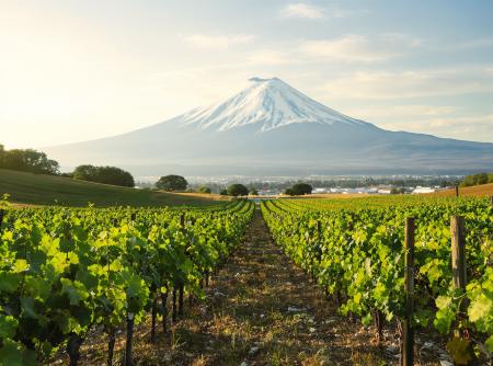 CruX、日本ワインを世界市場へ。VINEXPO ASIA 2026「 CruX、日本ワインを世界市場へ。VINEXPO ASIA 2026「