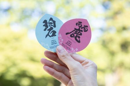 自分らしく輝く毎日を。泉涌寺に、“美しさ”を授かる新 自分らしく輝く毎日を。泉涌寺に、“美しさ”を授かる新