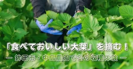 茨城県鉾田市×チイオシ コラボプロジェクト第四弾を開 茨城県鉾田市×チイオシ コラボプロジェクト第四弾を開