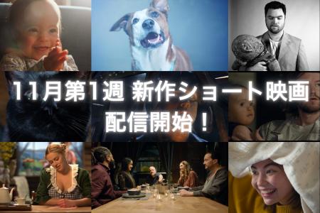 【SAMANSA】11月第1週の新作ショート映画ラインナップ