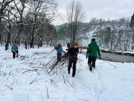 白川湖の水没林 フィールド整備作業開催! 白川湖の水没林 フィールド整備作業開催!