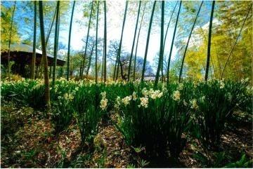 好古園　「フォトコンテスト」の作品を募集しています