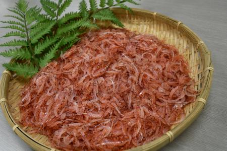 日本で唯一「桜えび」が水揚げされる駿河湾にて「桜え 日本で唯一「桜えび」が水揚げされる駿河湾にて「桜え