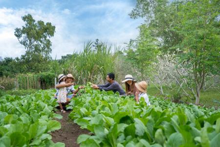 アヤナ バリ、持続可能なホスピタリティの取り組みに アヤナ バリ、持続可能なホスピタリティの取り組みに