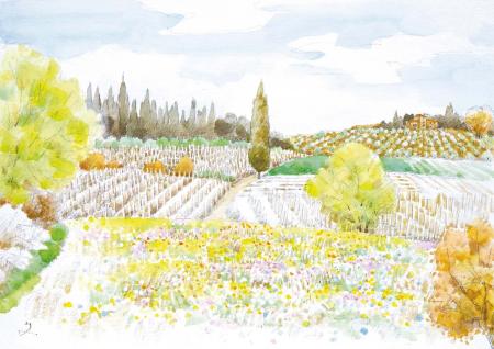 堀文子の仕事 イタリア・トスカーナ ― 無垢の感動を 堀文子の仕事 イタリア・トスカーナ ― 無垢の感動を