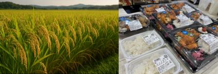 綿半が地元米農家さまから「長野県産コシヒカリ」の直 綿半が地元米農家さまから「長野県産コシヒカリ」の直