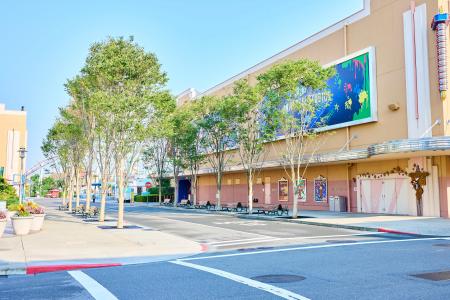 廃食油の再利用が拡大!パーク初、バイオディーゼル燃 廃食油の再利用が拡大!パーク初、バイオディーゼル燃