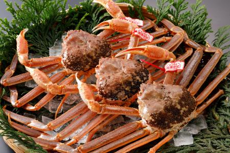 鳥取のカニ文化を次の100年へーー中村商店 創業100年 鳥取のカニ文化を次の100年へーー中村商店 創業100年