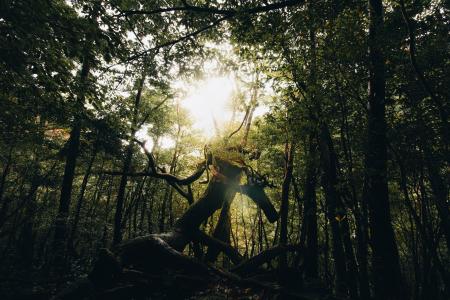 Travel Deeper into Real Japan.--TSUGU Japanが“本物 Travel Deeper into Real Japan.--TSUGU Japanが“本物