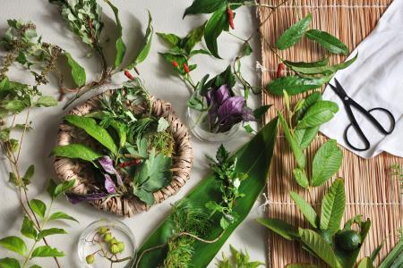 【星のや竹富島】冬の寒さや春の花粉と無縁の沖縄・竹 【星のや竹富島】冬の寒さや春の花粉と無縁の沖縄・竹