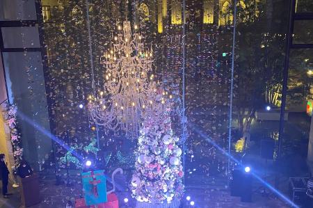 【名古屋】クリスマスイルミネーションショーやプリン