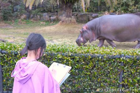 和歌山県田辺市の探究型グローカルスクール・うつほの 和歌山県田辺市の探究型グローカルスクール・うつほの