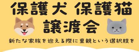 保護犬・保護猫の譲渡活動が拡大中！2025年11月　綿半