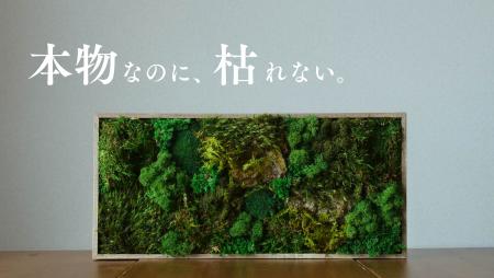 【世界初の苔カスタマイズ機能で“自分だけの緑”をデザ 【世界初の苔カスタマイズ機能で“自分だけの緑”をデザ
