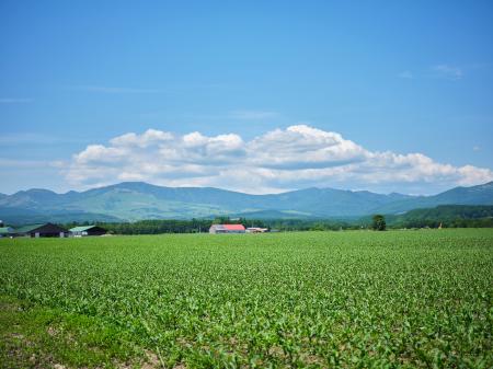 北海道上士幌町×JALガクツナ プロジェクト 短期インタ 北海道上士幌町×JALガクツナ プロジェクト 短期インタ
