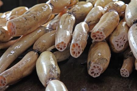 11/23【コウノトリれんこん】収穫体験！ SDGs コウノ