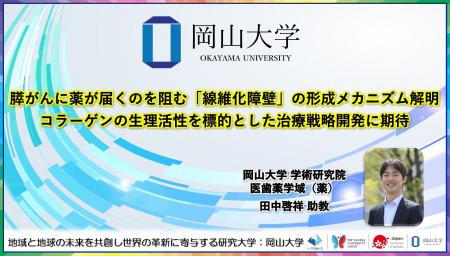 【岡山大学】膵がんに薬が届くのを阻む「線維化障壁」 【岡山大学】膵がんに薬が届くのを阻む「線維化障壁」