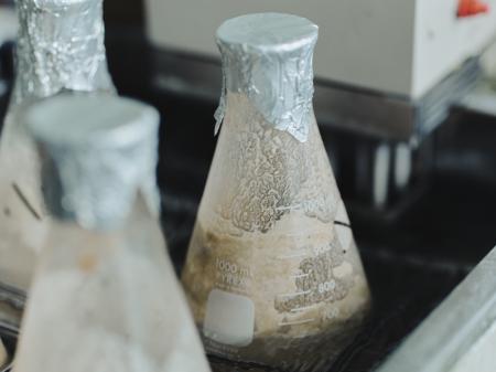 ファーメンステーション、岩手大学と共同研究を開始 ファーメンステーション、岩手大学と共同研究を開始