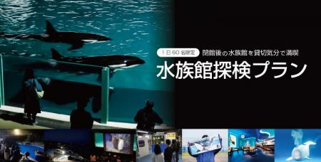 【鴨川シーワールド】1日限定60名『水族館探検プラン 【鴨川シーワールド】1日限定60名『水族館探検プラン