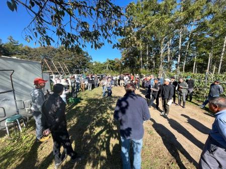 日本ワインの未来を守る! ワインブドウ病理のエキス 日本ワインの未来を守る! ワインブドウ病理のエキス