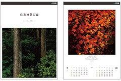 2026年オリジナルカレンダー「住友林業の森」 抽選で 2026年オリジナルカレンダー「住友林業の森」 抽選で