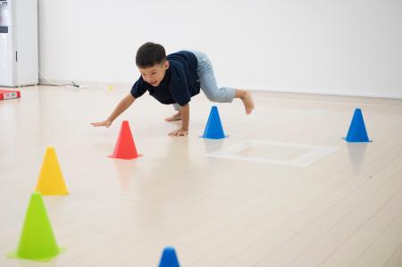 【参加募集中】大好評「くま歩き×体幹」集中講座を11