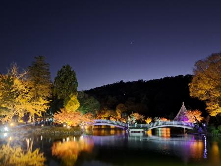 東京・町田市「秋遊び2025」開催中！～秋の夜をutf-8