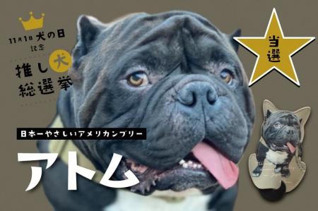 「推し犬総選挙2025結果発表」総フォロワー約54万人が