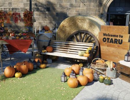 運河プラザを新たな賑わいの拠点に！Otaru Next 100実