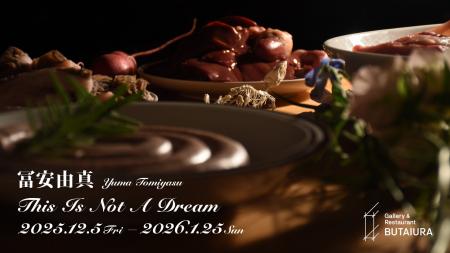 冨安由真個展「This Is Not A Dream」 2025年12月5日(
