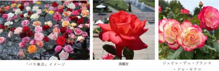 有馬温泉 太閤の湯×須磨離宮公園 コラボ企画約1,utf-8