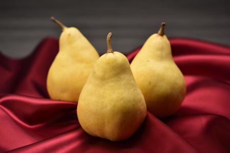 11/20(木)出荷解禁 「ル レクチエ」のブランド定utf-8